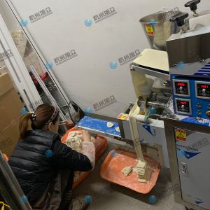 仿手工包饺子机省时省力开店神器！